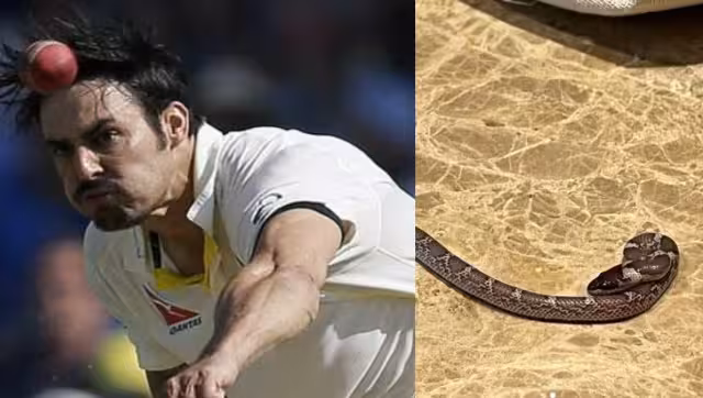 Mitchell Johnson encounters snake as surprising guest inside Lucknow hotel room, see photos - Firstcricket New