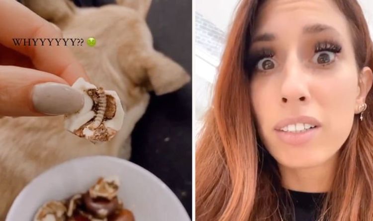 Stacey Solomon nearly eats hidden maggot sparking worried messages from fans