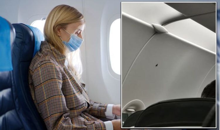 The mysterious triangle symbol on flights - what does it mean if you're seated beside it?
