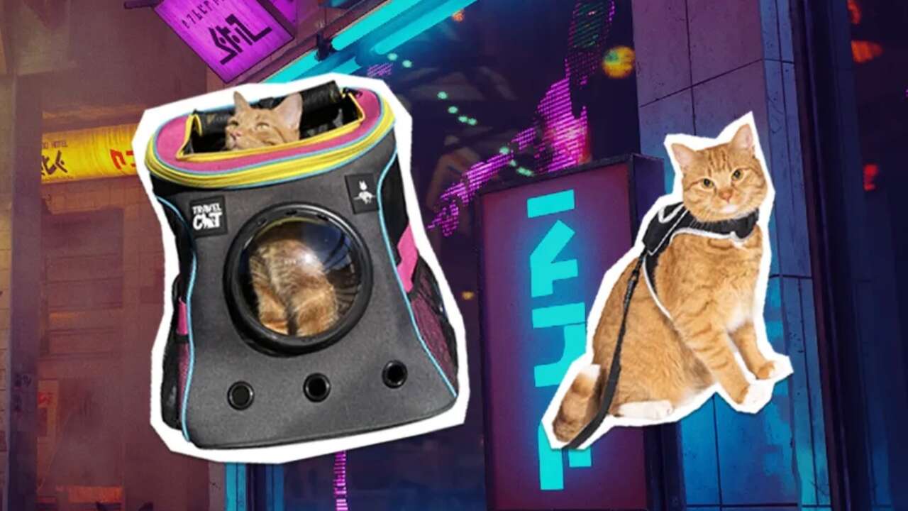 Stray's New Merch Is An Accessory Line For Your Cat