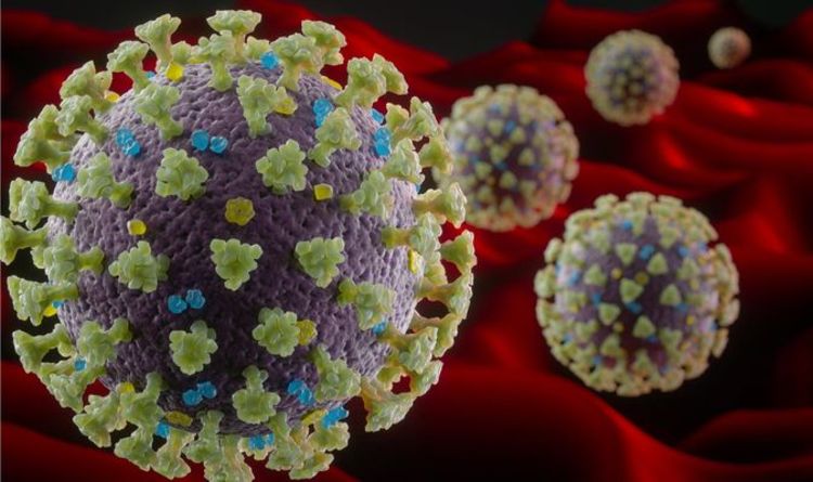 Covid-19 variant: Is there a new strain of coronavirus?