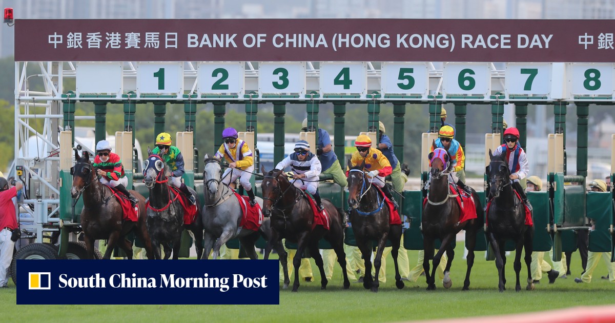 ‘Unscrupulous agents’ using HK as a ‘dumping ground’ for inferior bloodstock