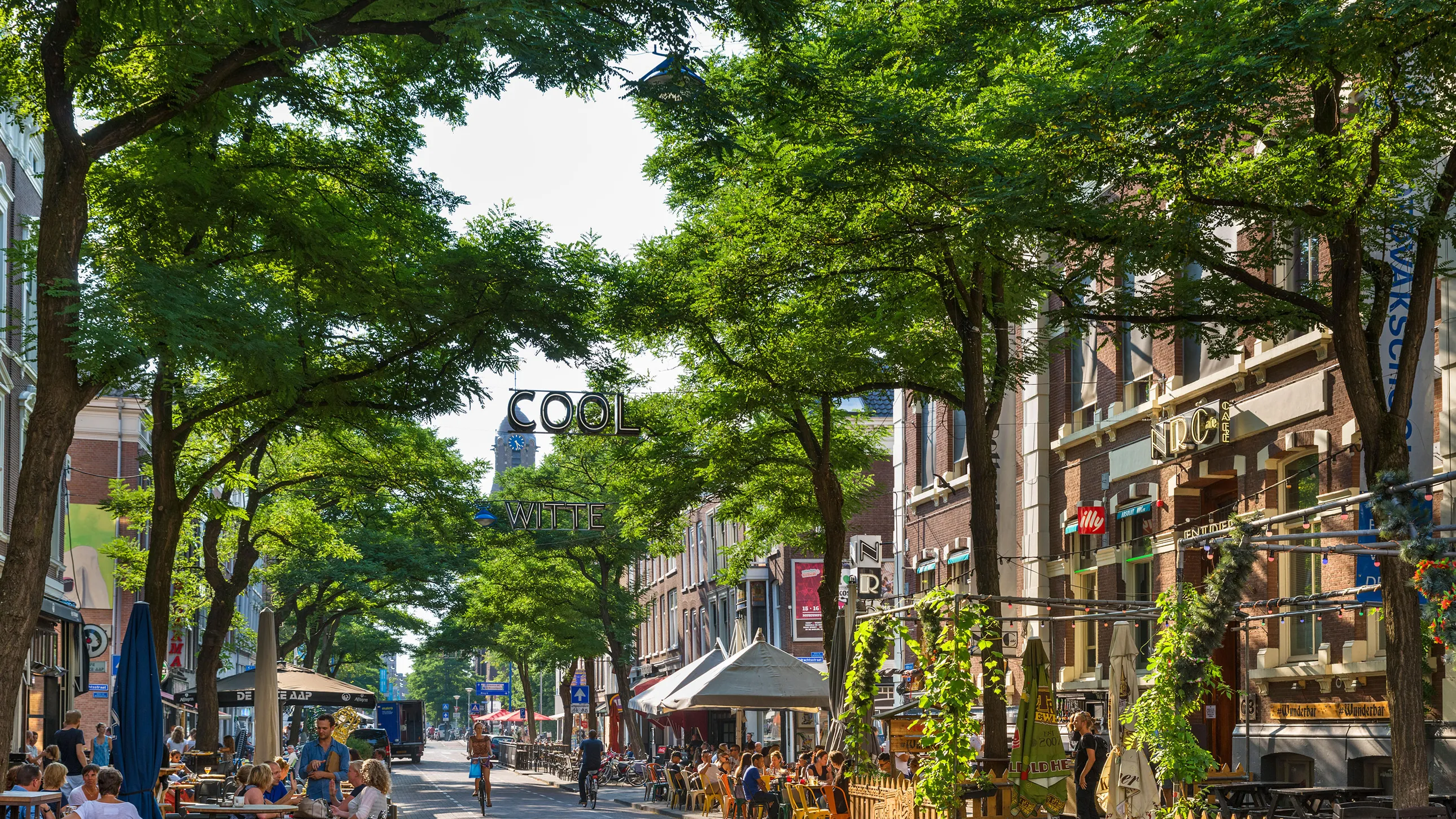 Rotterdam: Europe's hottest design destination
