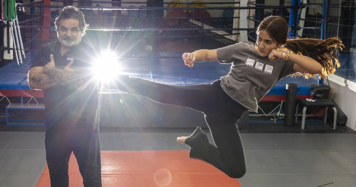How do dojos in the valley feel about Netflix's “Cobra Kai?”