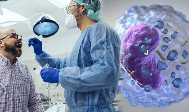 Covid update: What reduces risk of catching the virus? Antibodies, immune defenders & more