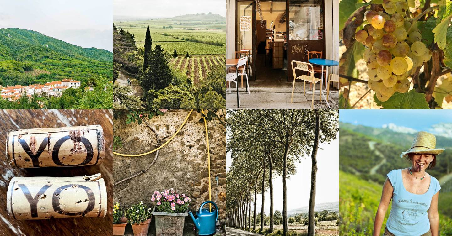 Where to find the best natural wine in France