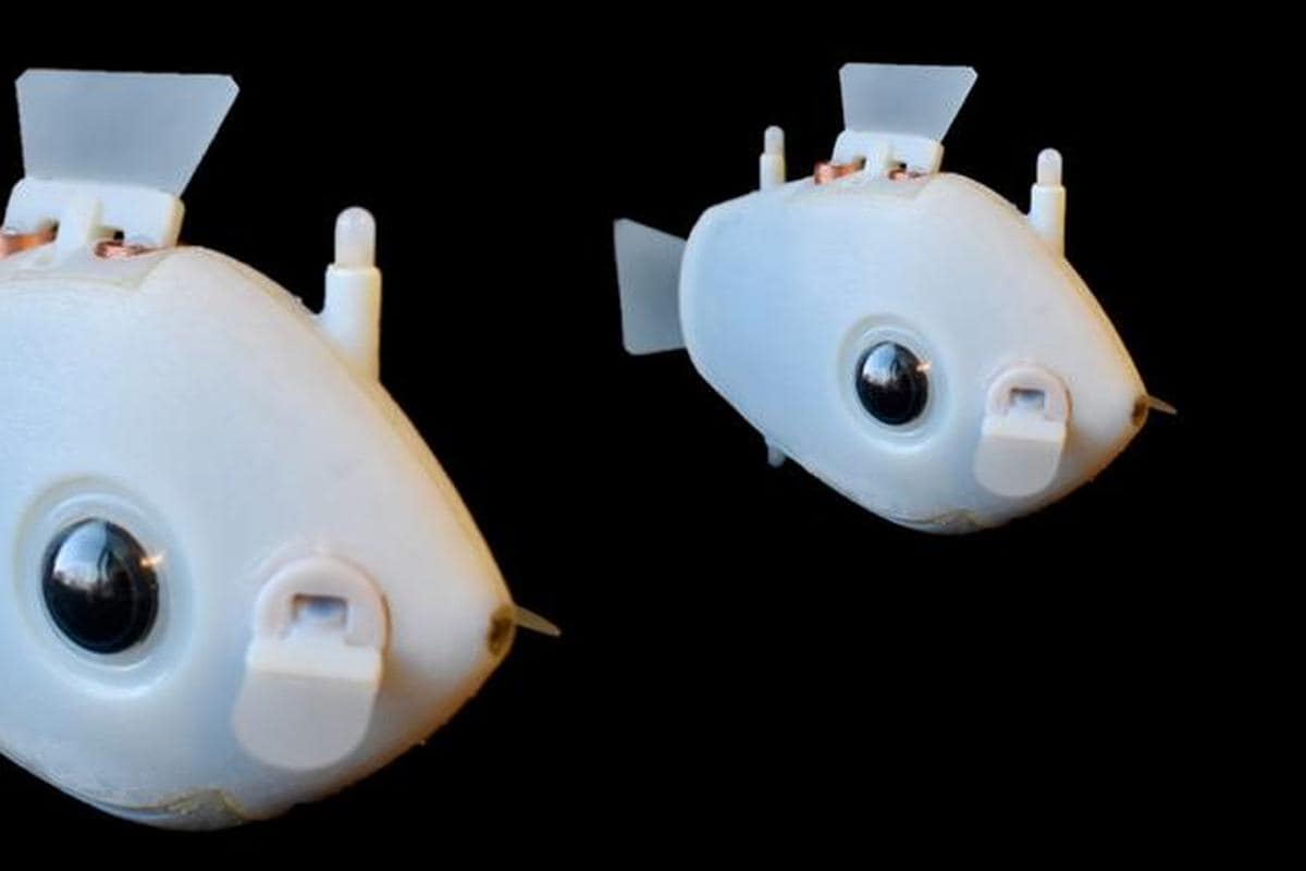 Scientists Create Miniature Underwater Robots That Swarm Like Fish