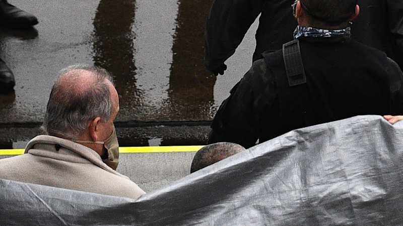 American father, son plead guilty to helping Ghosn flee Japan